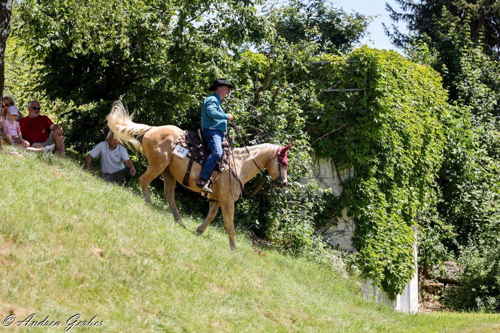 Swiss Ranch Horse Association - SRHA