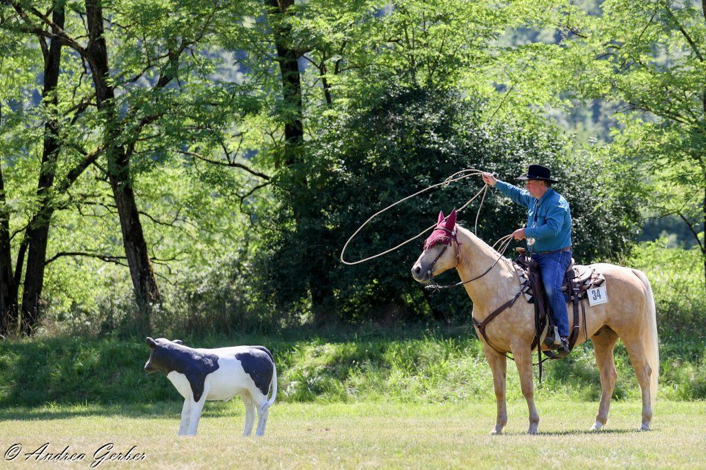 Swiss Ranch Horse Association - SRHA