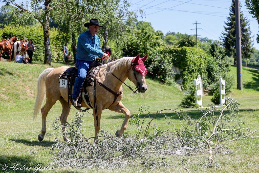 Swiss Ranch Horse Association - SRHA