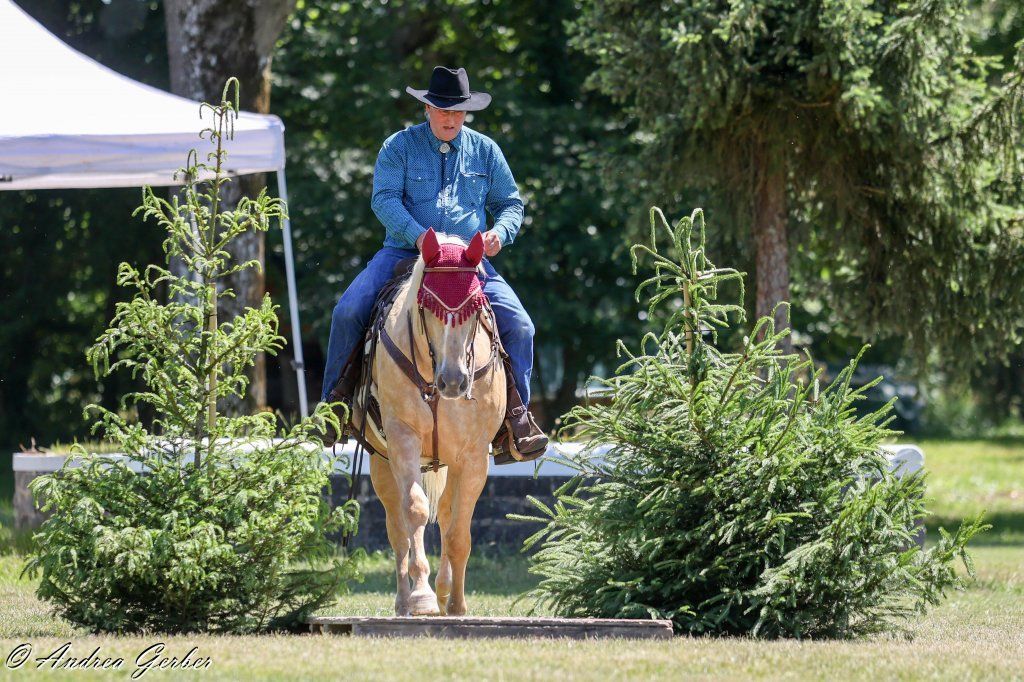 Swiss Ranch Horse Association - SRHA