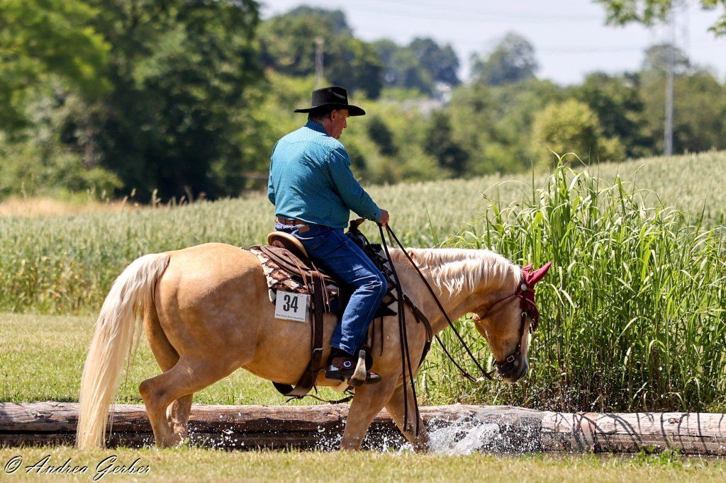 Swiss Ranch Horse Association - SRHA