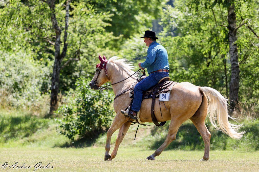 Swiss Ranch Horse Association - SRHA