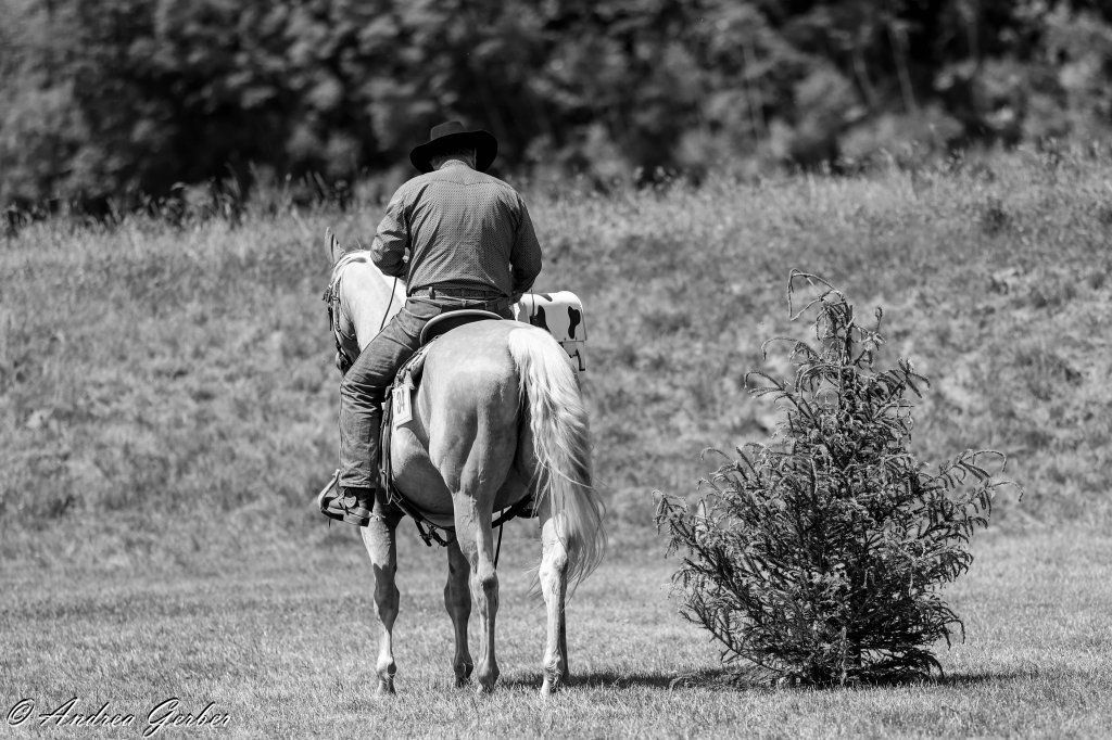 Swiss Ranch Horse Association - SRHA