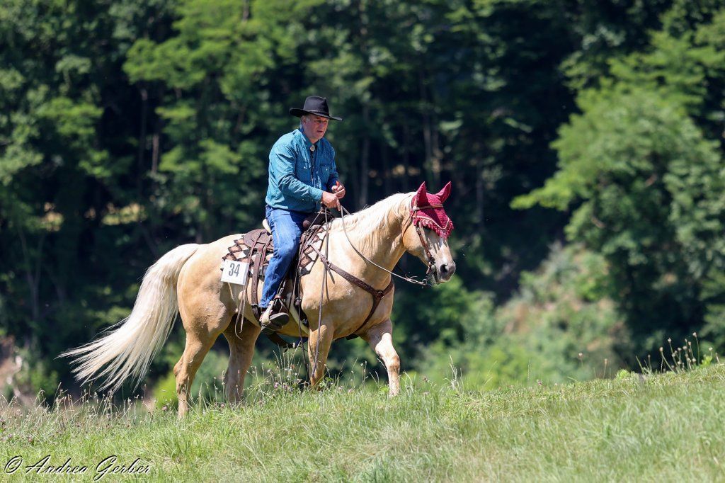 Swiss Ranch Horse Association - SRHA