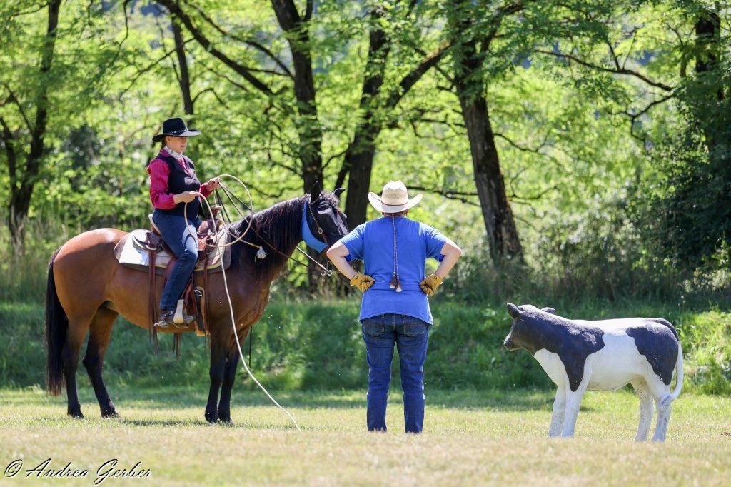 Swiss Ranch Horse Association - SRHA