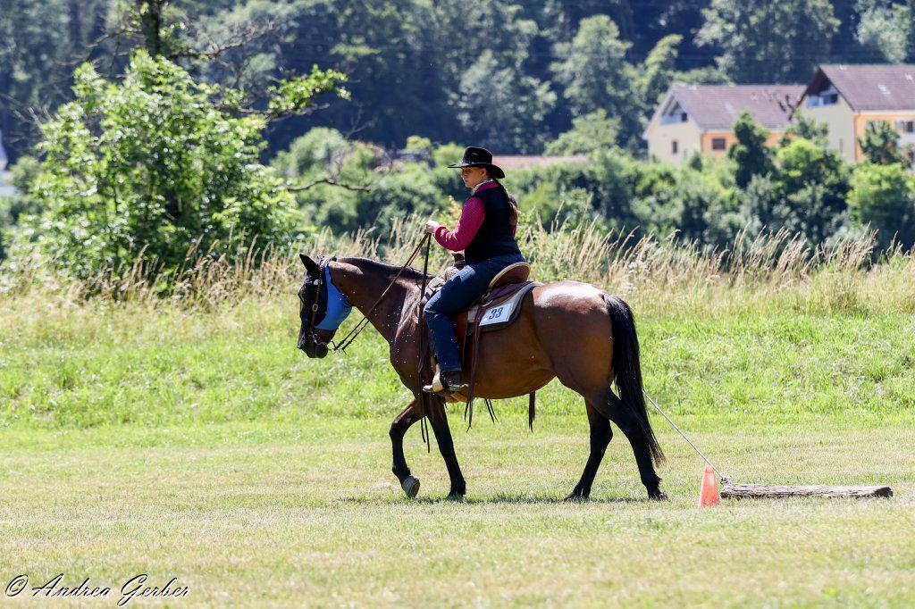 Swiss Ranch Horse Association - SRHA