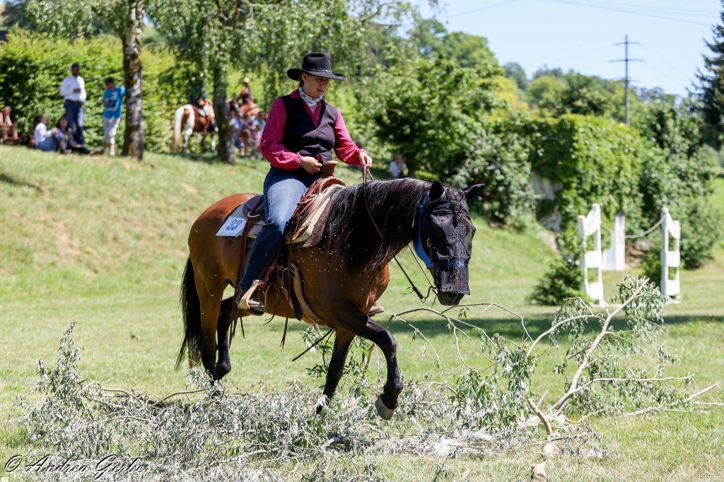 Swiss Ranch Horse Association - SRHA