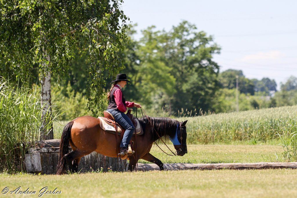 Swiss Ranch Horse Association - SRHA