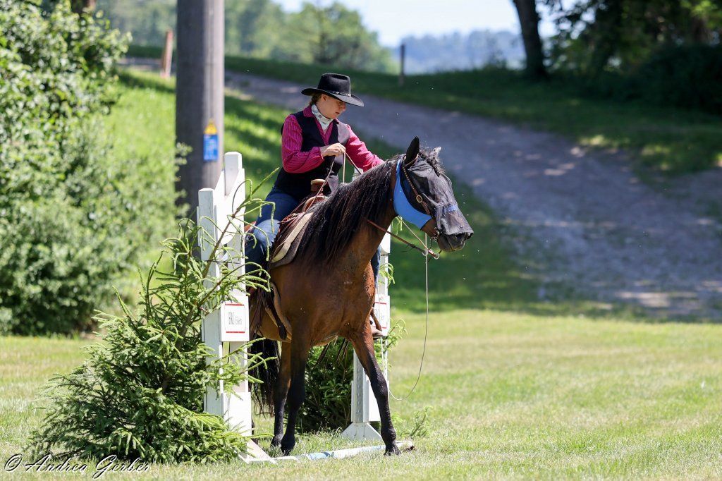 Swiss Ranch Horse Association - SRHA