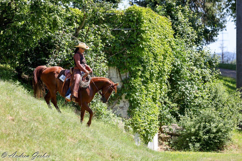 Swiss Ranch Horse Association - SRHA