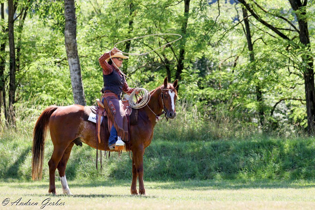 Swiss Ranch Horse Association - SRHA