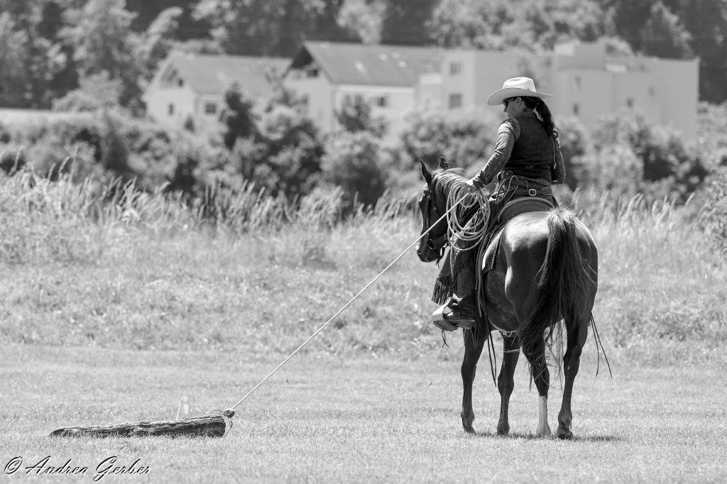 Swiss Ranch Horse Association - SRHA