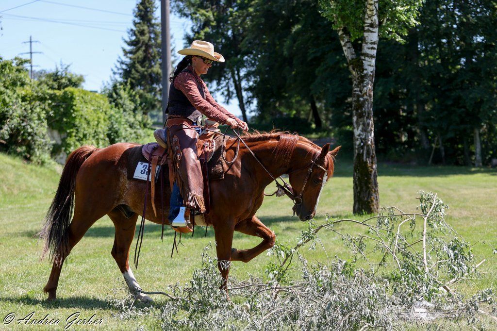 Swiss Ranch Horse Association - SRHA