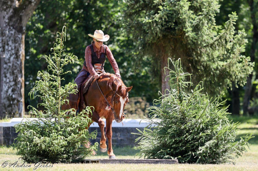 Swiss Ranch Horse Association - SRHA