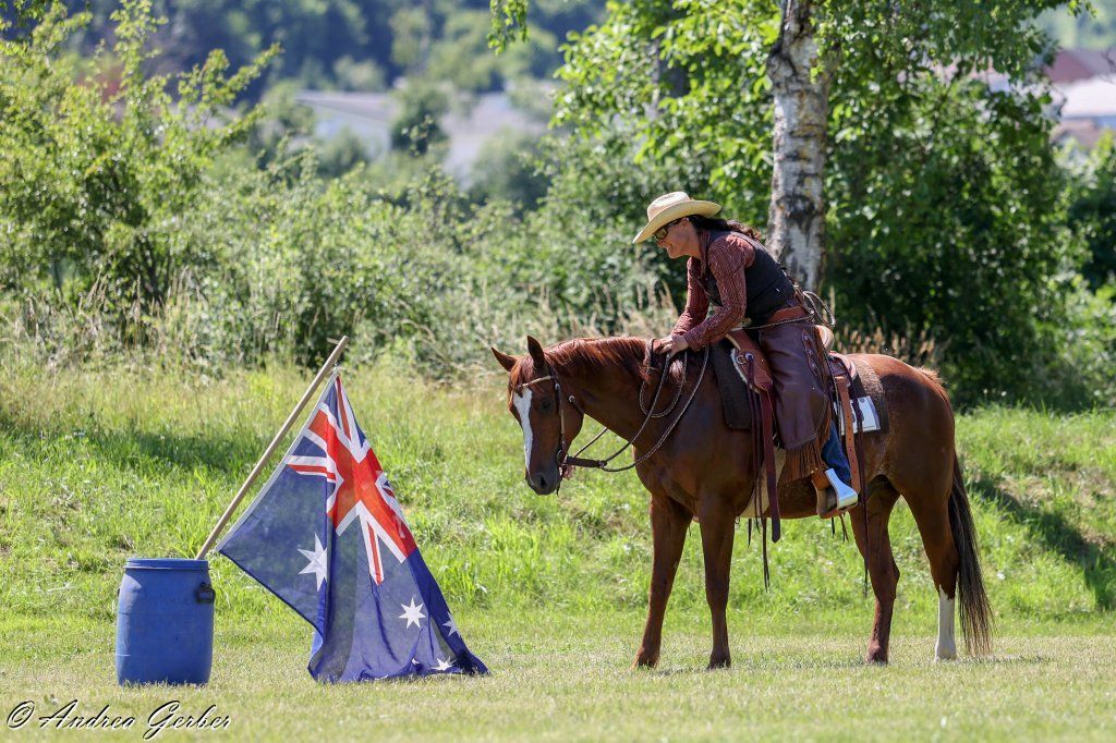 Swiss Ranch Horse Association - SRHA