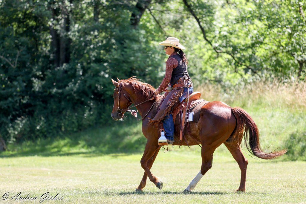 Swiss Ranch Horse Association - SRHA
