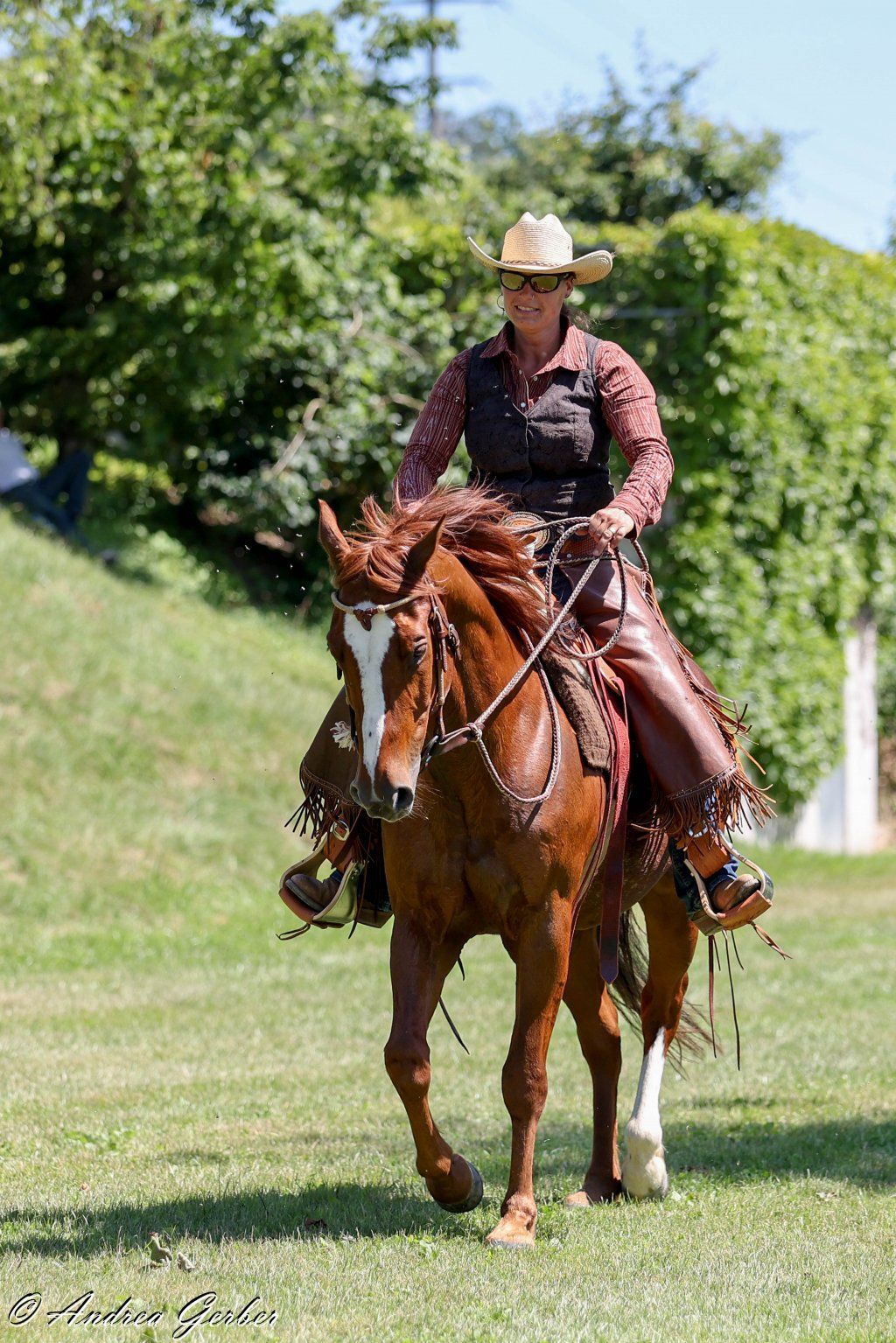 Swiss Ranch Horse Association - SRHA
