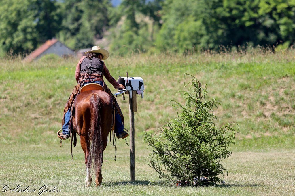 Swiss Ranch Horse Association - SRHA