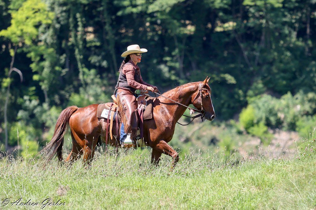 Swiss Ranch Horse Association - SRHA