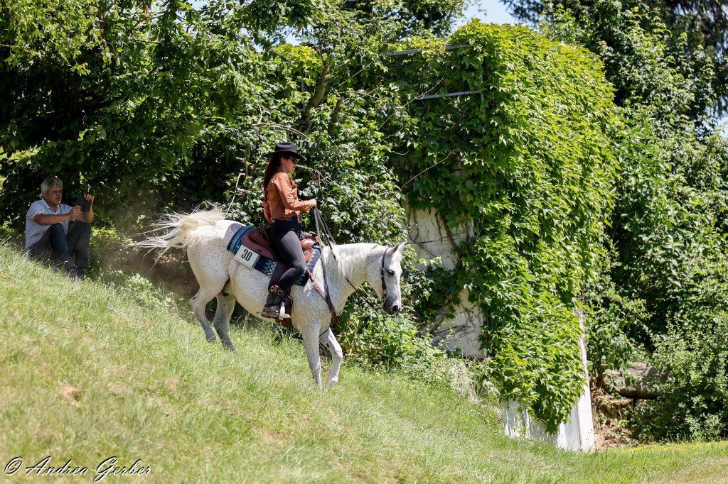 Swiss Ranch Horse Association - SRHA