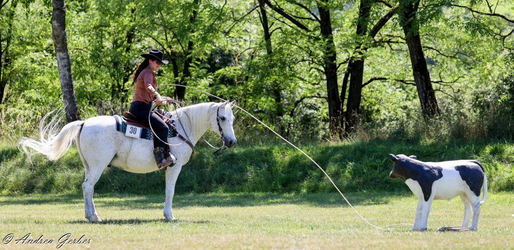 Swiss Ranch Horse Association - SRHA