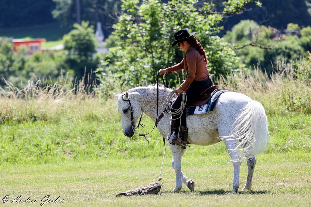 Swiss Ranch Horse Association - SRHA