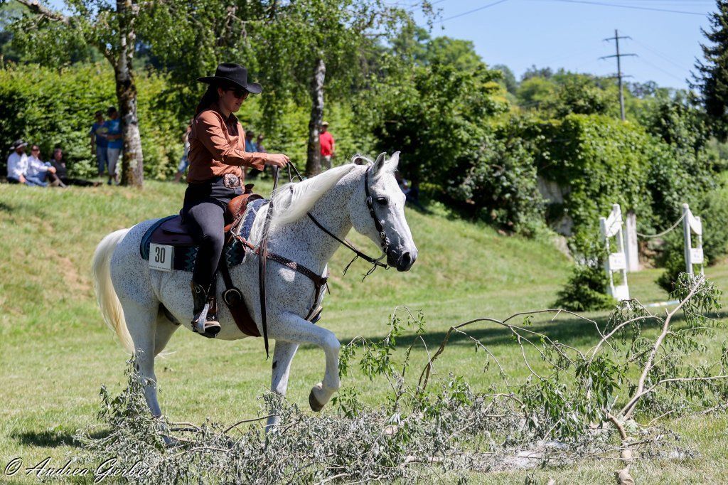 Swiss Ranch Horse Association - SRHA