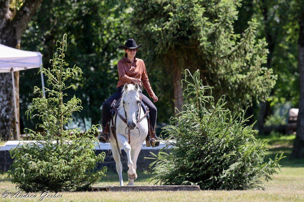 Swiss Ranch Horse Association - SRHA