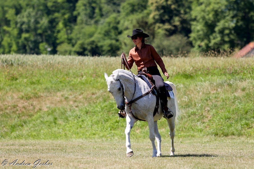 Swiss Ranch Horse Association - SRHA