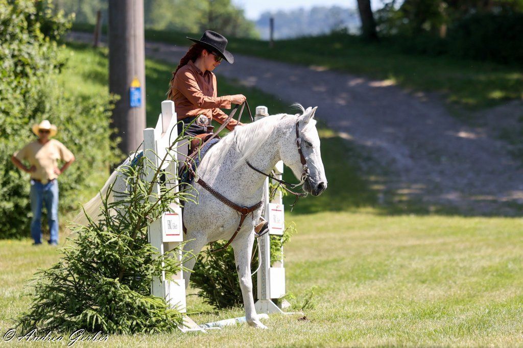Swiss Ranch Horse Association - SRHA