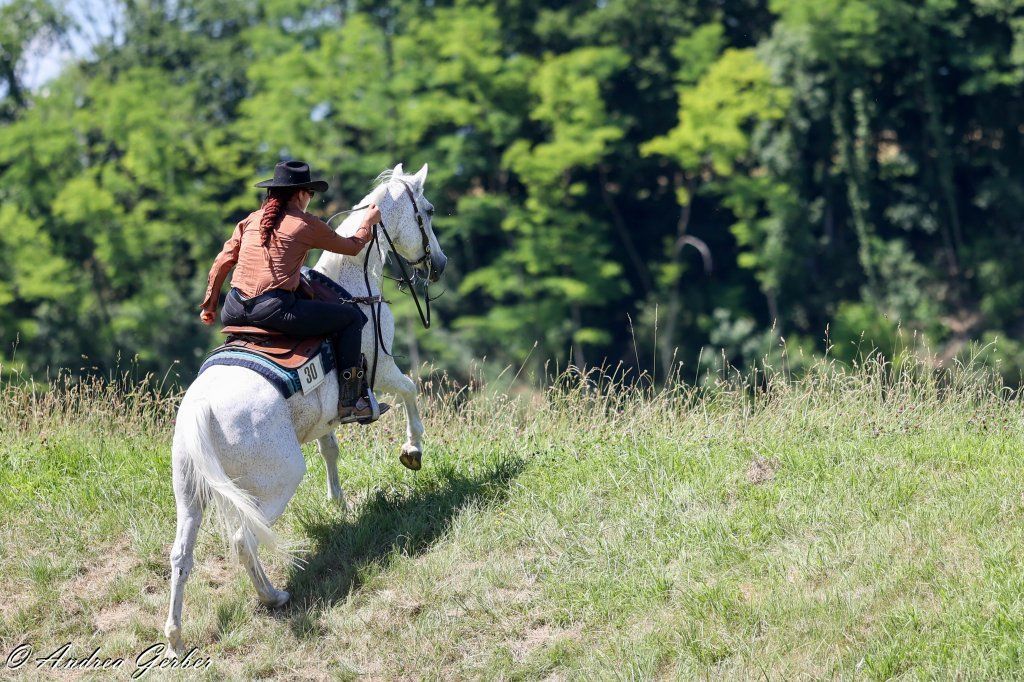 Swiss Ranch Horse Association - SRHA