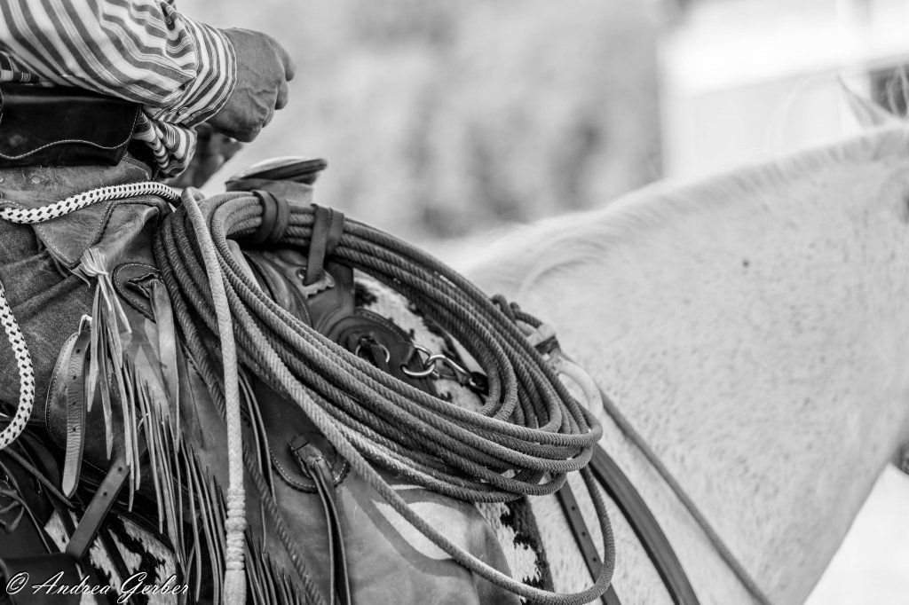 Swiss Ranch Horse Association - SRHA