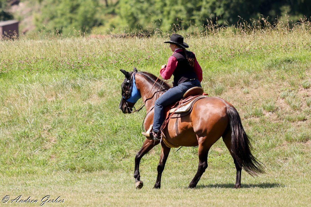 Swiss Ranch Horse Association - SRHA