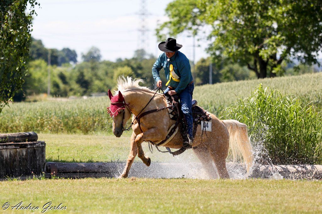 Swiss Ranch Horse Association - SRHA