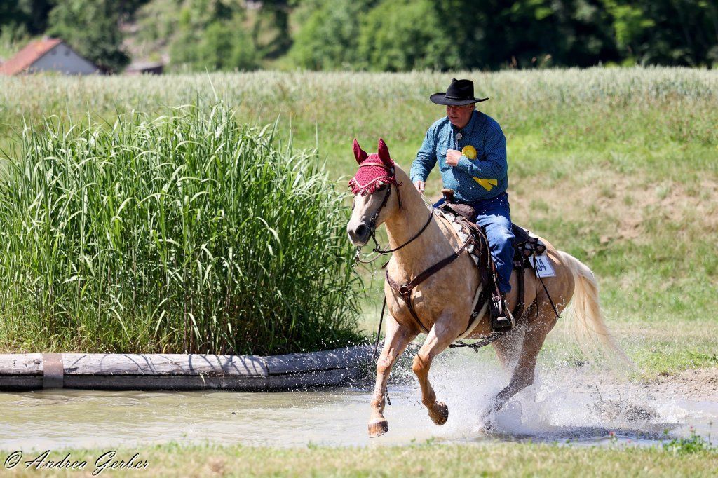 Swiss Ranch Horse Association - SRHA