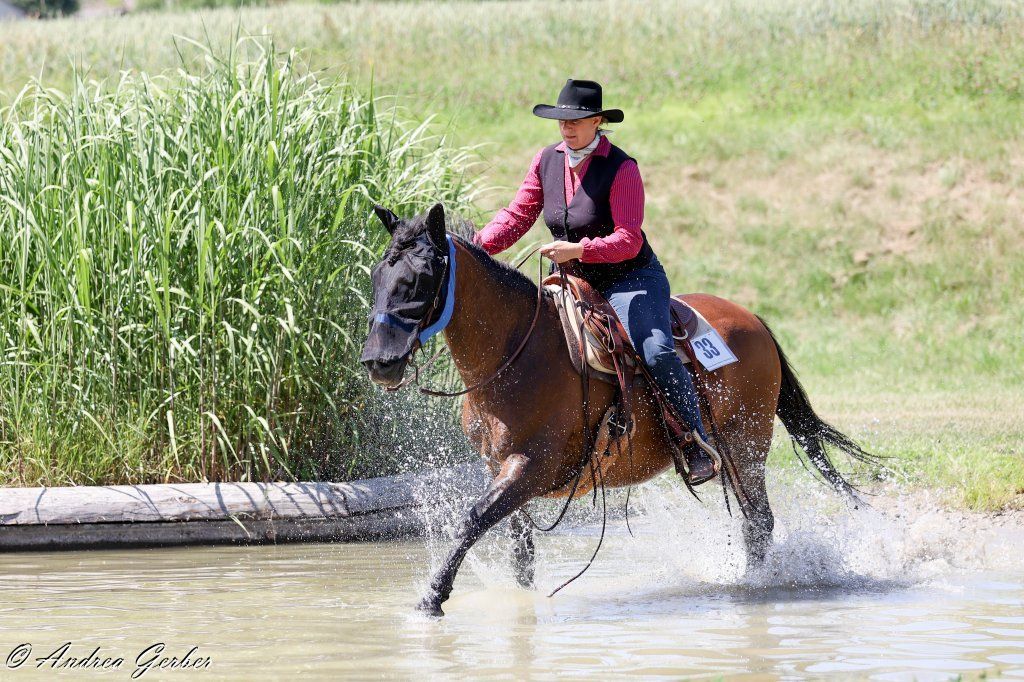 Swiss Ranch Horse Association - SRHA