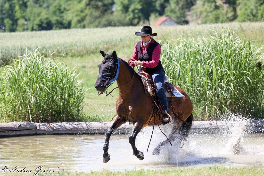 Swiss Ranch Horse Association - SRHA