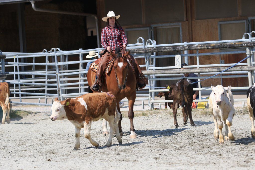 Swiss Ranch Horse Association - SRHA