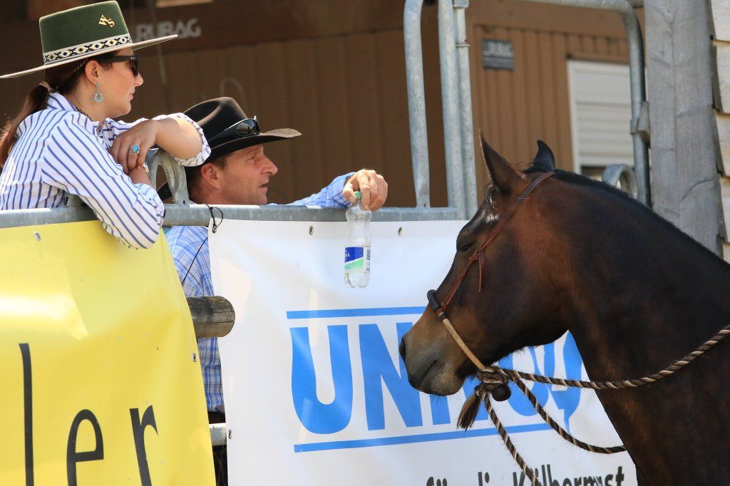 Swiss Ranch Horse Association - SRHA
