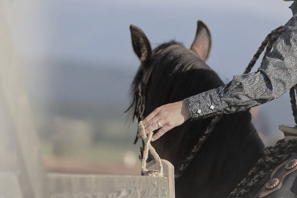 Swiss Ranch Horse Association - SRHA
