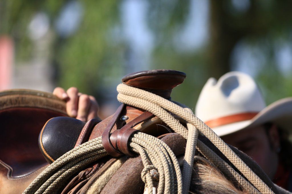 Swiss Ranch Horse Association - SRHA