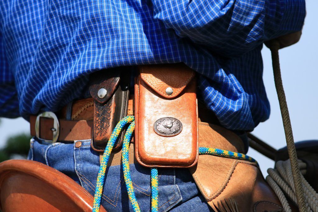 Swiss Ranch Horse Association - SRHA