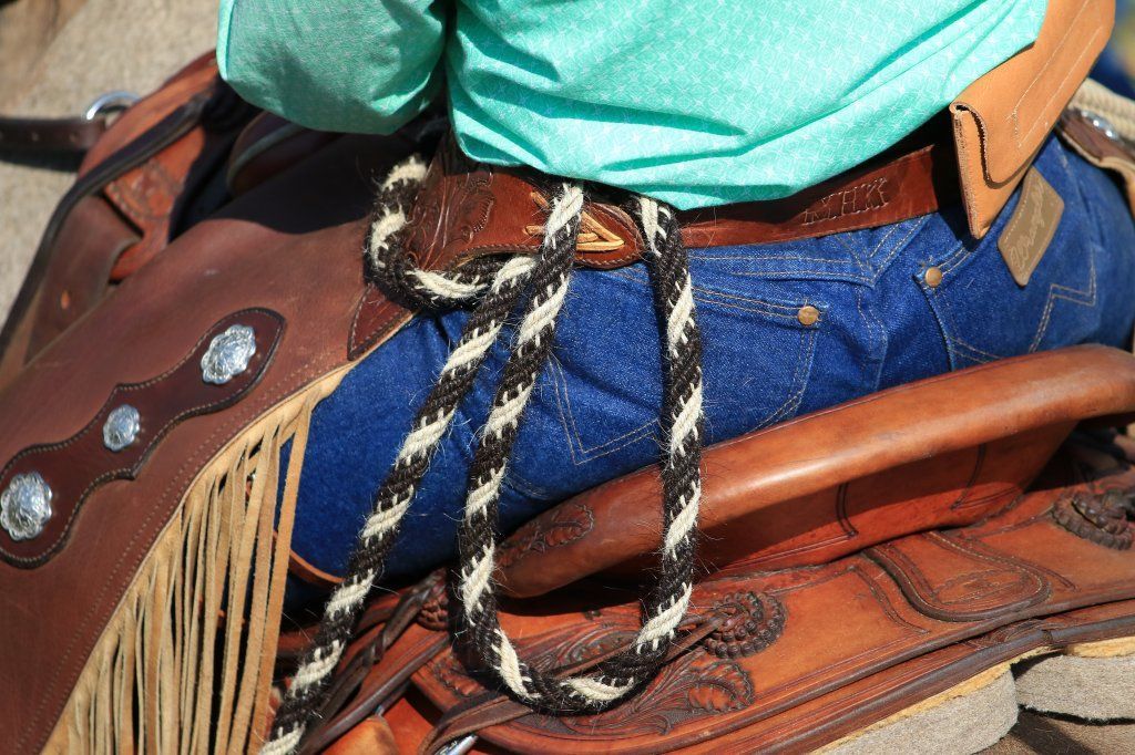 Swiss Ranch Horse Association - SRHA