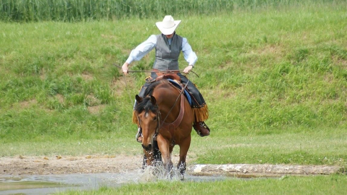 Swiss Ranch Horse Association - SRHA