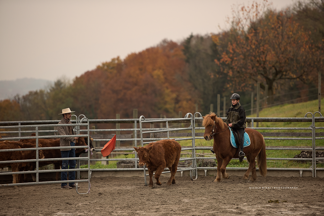 Swiss Ranch Horse Association - SRHA