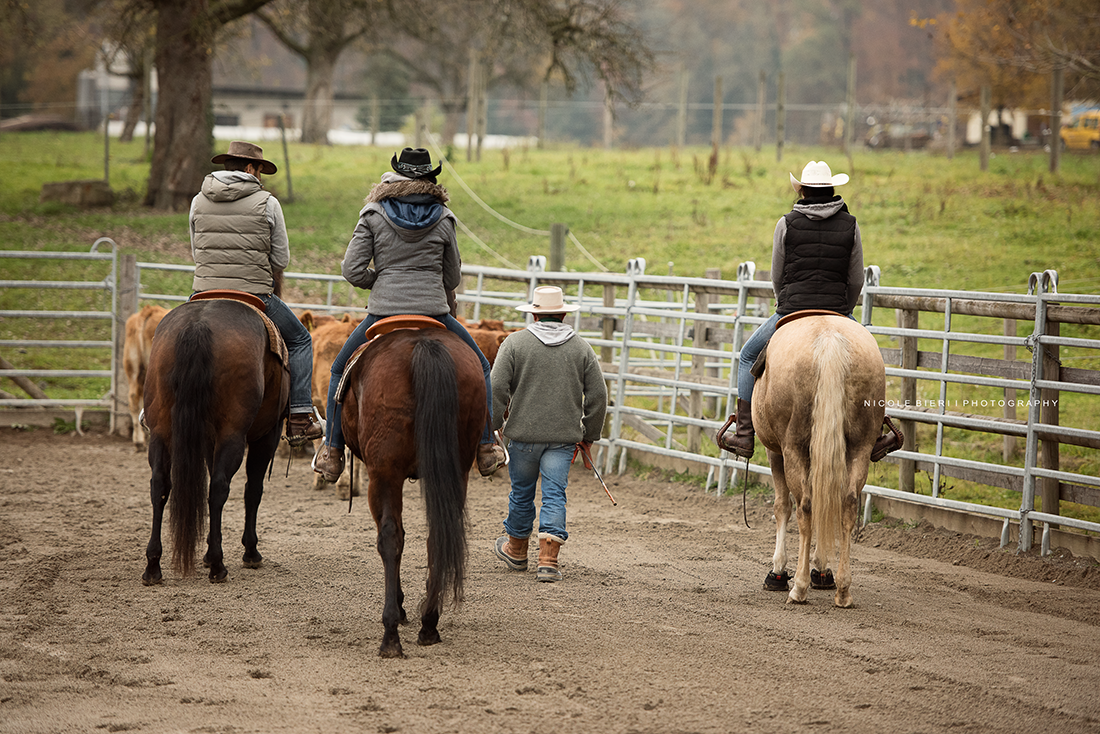 Swiss Ranch Horse Association - SRHA