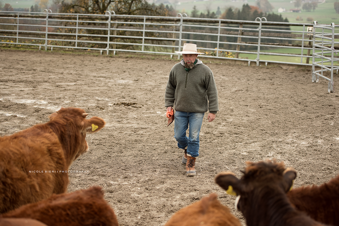 Swiss Ranch Horse Association - SRHA