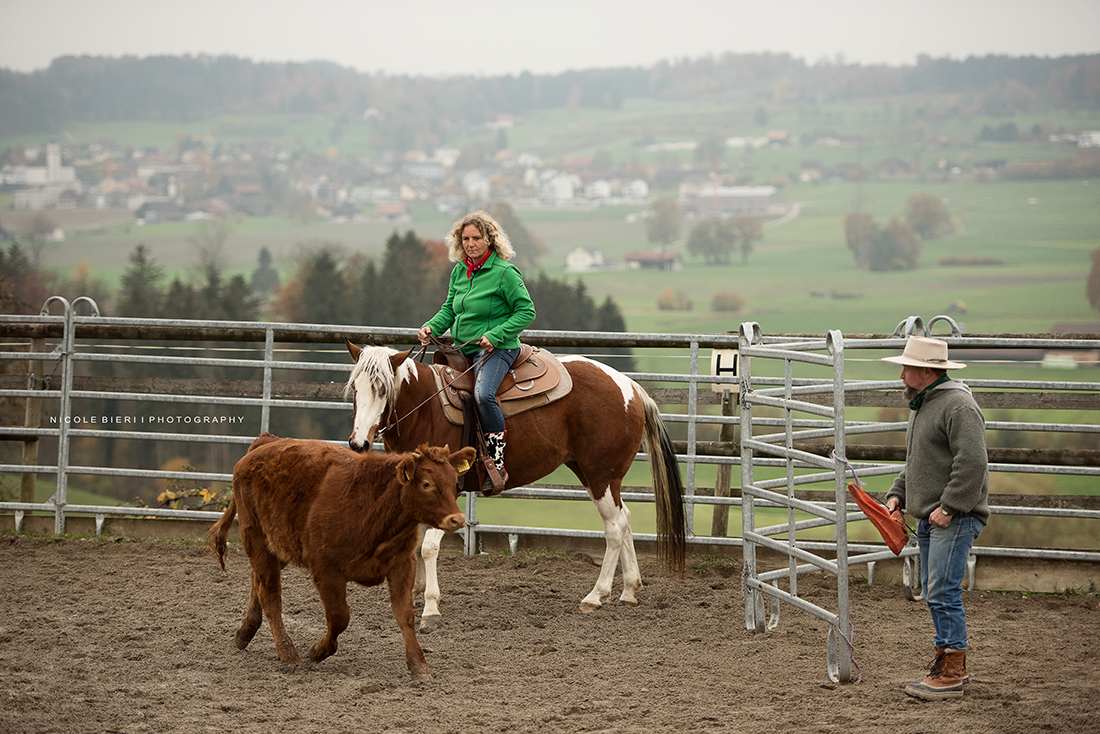 Swiss Ranch Horse Association - SRHA