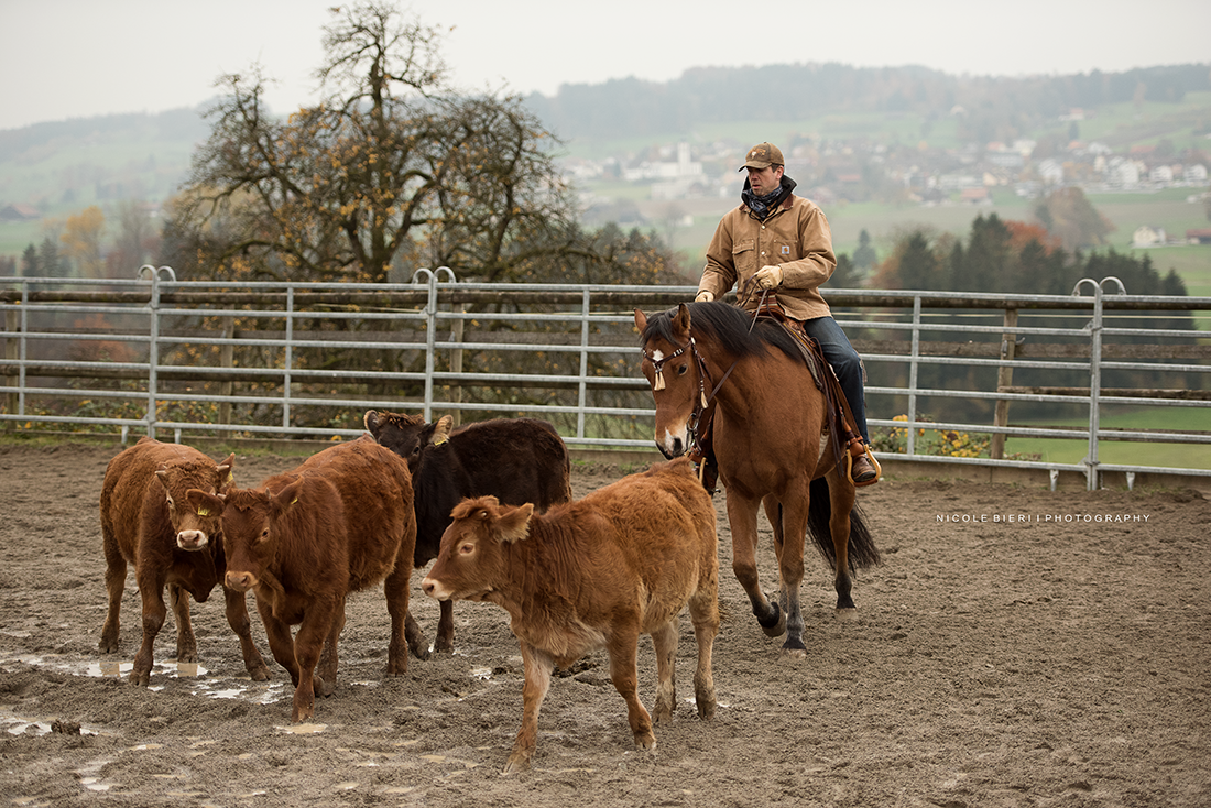 Swiss Ranch Horse Association - SRHA