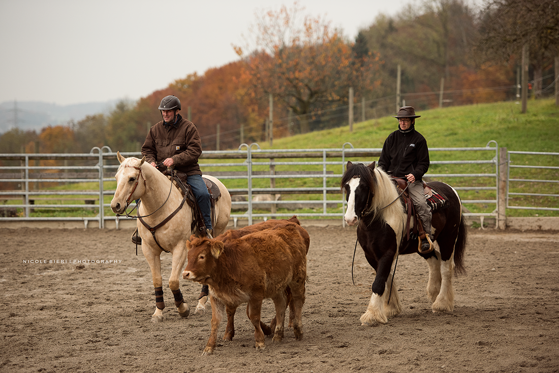 Swiss Ranch Horse Association - SRHA